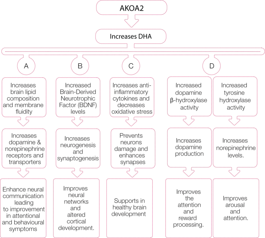 Organic Flow Diagram