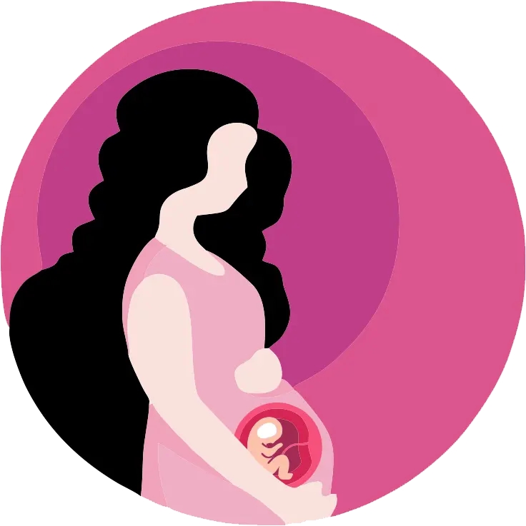 Pregnancy Illustration