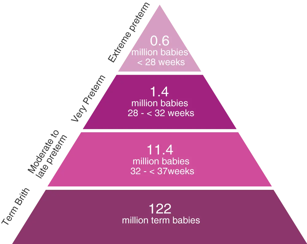 Preterm Birth Pyramid